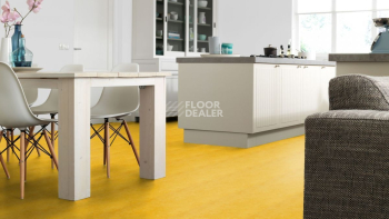Forbo Marmoleum Click 333251 lemon zest фото 4 | FLOORDEALER